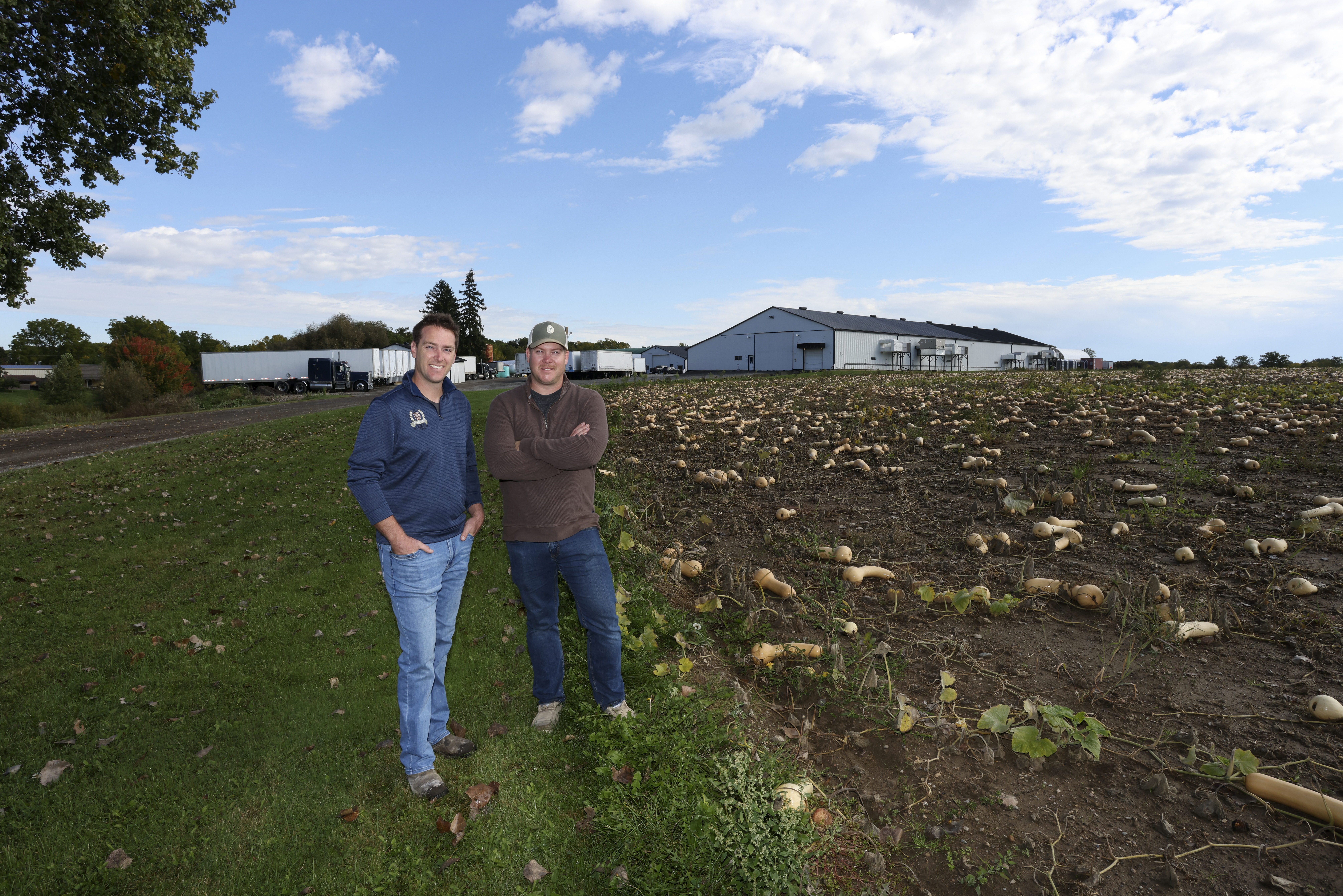 Pumpkins may be tariff-free, but farmers face tough knock-on effects and high prices